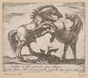 Dois cavalos de acasalamento
Cavalos de diferentes países (título da série)
O seu ducibus princeps celebrraberis ore viroru illa homines beat haec sideribusq locat (título da série)