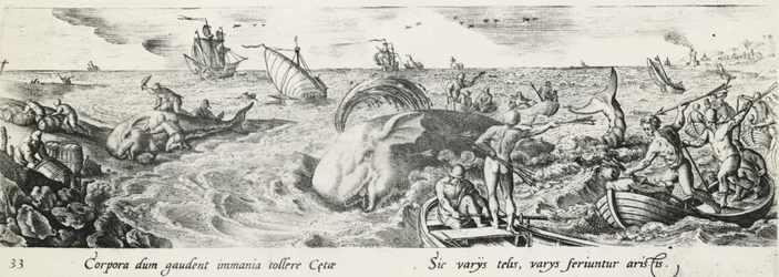 Caça às baleias, por Antonio Tempesta (1555-1630), gravura, Itália
