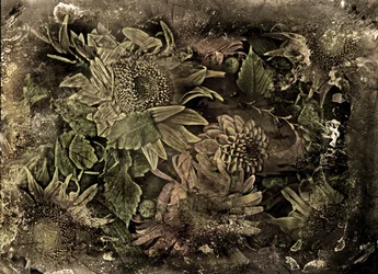 Artfloral n.º 5-2, 2015 (foto)