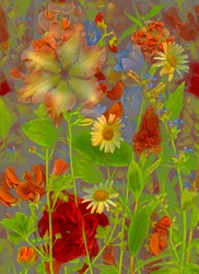 Artfloral n.º 5, conversa de primavera, 2016 (foto)