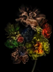 Flores 13-1, 2025 (foto)