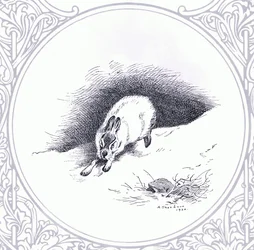 Mountain Hare, pub. por Book Club Associates