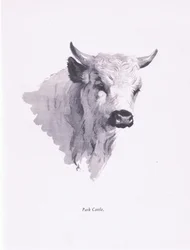 Gado do Parque, 1938