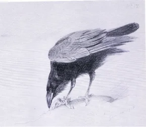 Raven, pub. por Book Club Associates