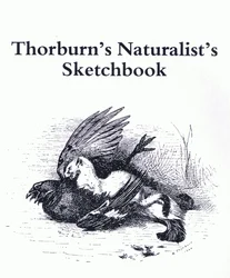 Página de título (Stoat and Gamebird), pub. por Book Club Associates