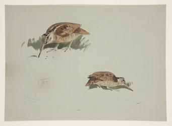 Duas vinhetas de galinholas, c. 1915