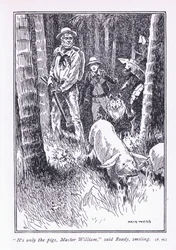 É só os porcos, Mestre William, disse Pronto, 1900