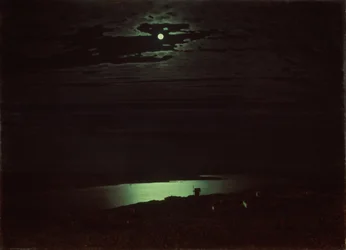 Noite enluarada no rio Dniepr, 1880