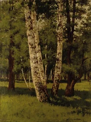 Bétulas