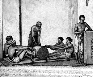 Embalagem de canela, Índia, 1895.