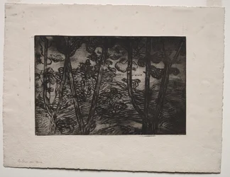 Árvores à noite, c. 1894