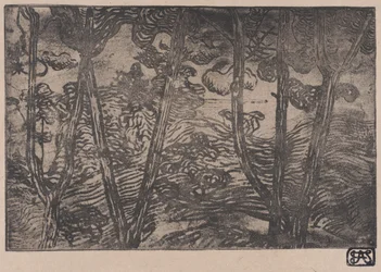 Árvores à noite, ca. 1894.