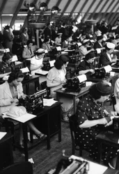 Datilógrafos trabalhando, Itália, 1938 (placa de vidro)