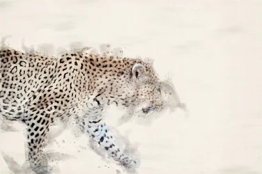 Leopardo em aquarela elegante