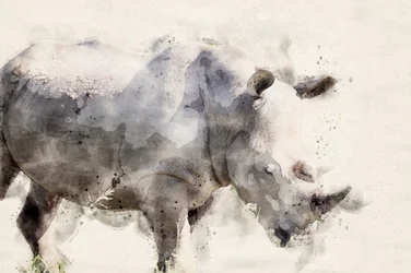 Rinoceronte em aquarela, cheio de graça