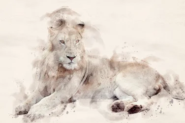 Aquarela «Leão Branco Majestoso»