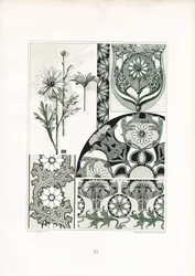Ornamentos de margaridas em esquema de cores verde (litografia)