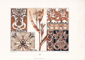 Padrões de ornamentos Iris em tons de castanho (litografia)