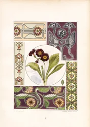 Motivos de prímula e variações de ornamentos florais (litografia)
