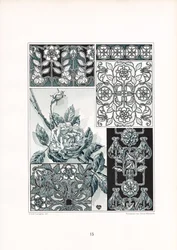 Estudos de ornamentos de rosas em tons verdes (litografia)
