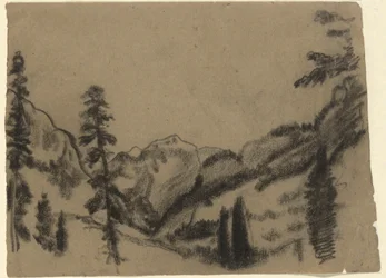 Paisagem de montanha com árvores de abeto