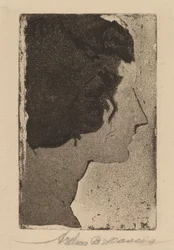 Perfil