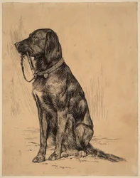 O cão de Aldrich, finais da década de 1880 (tinta sobre papel)