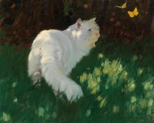 Gato branco e borboletas