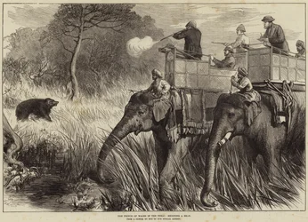 O Príncipe de Gales no Terai, atirando um urso