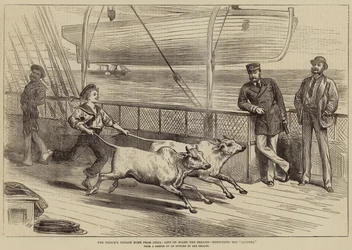 Viagem do Príncipe à Índia, Vida a bordo do Serapis, exercitando os Gainees