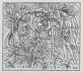 Hans Christian Andersen: O Jardim do Paraíso (litho)