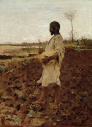Um semeador egípcio, 1881