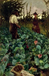 Jardim de Repolho