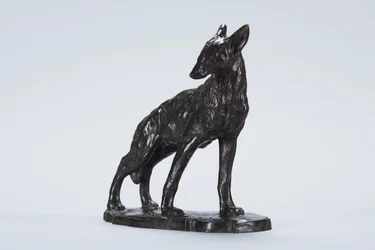 Alerta Coyote (bronze)