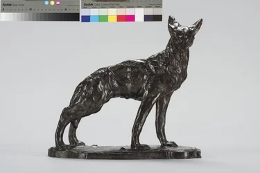 Alerta Coyote (bronze)