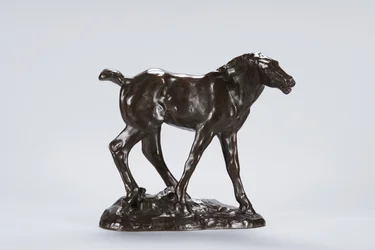 Colt (bronze)