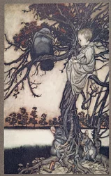 Coloque seu caso estranho antes de Old Solomon Caw, de Peter Pan em Kensington Gardens por JM Barrie (1860 - 1937), pub. 1906
