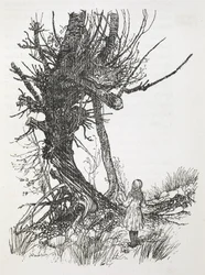 O Gato de Cheshire numa árvore a olhar para a Alice