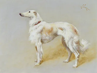 Um cão Borzoi (óleo sobre tela)