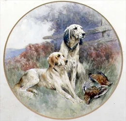 Um par de setters guardando um brace of Grouse