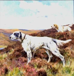 Setters ingleses (óleo a bordo)