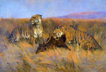 Tigres a Matar (óleo sobre tela)