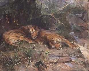 Tigres descansando por um riacho