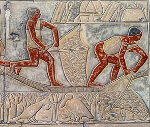 Arte Egípcia: pescar à exaustão. A faculdade é semelhante à Mastaba de Mereruka.