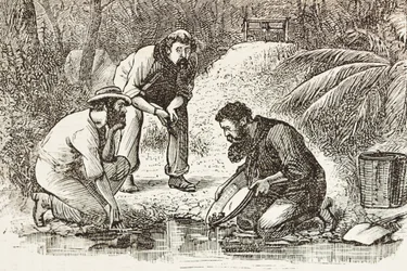 Austrália (1880). A vida dos garimpeiros em Botany Bay (fundada em 1788). Gravura. Coleção particular