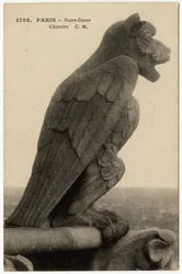 Gárgula ou chimere da catedral de Notre Dame de Paris, construída entre 1163 e o século XIV - Postal, coleção Selva