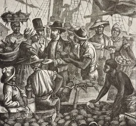 História da Inglaterra (séc. XIX). Colonização (1880). Bahama a vender ananases. Colónia inglesa na ilha de New Providence. O ananás era um dos produtos de exportação do porto de Nassau, o mais importante. Gravura. Coleção particular