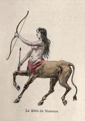 Representação da Bete de Staneux Ilustração