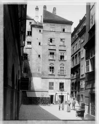 Viena 1