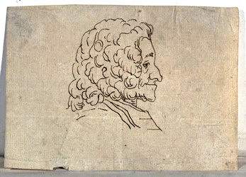 Voltaire, desenho